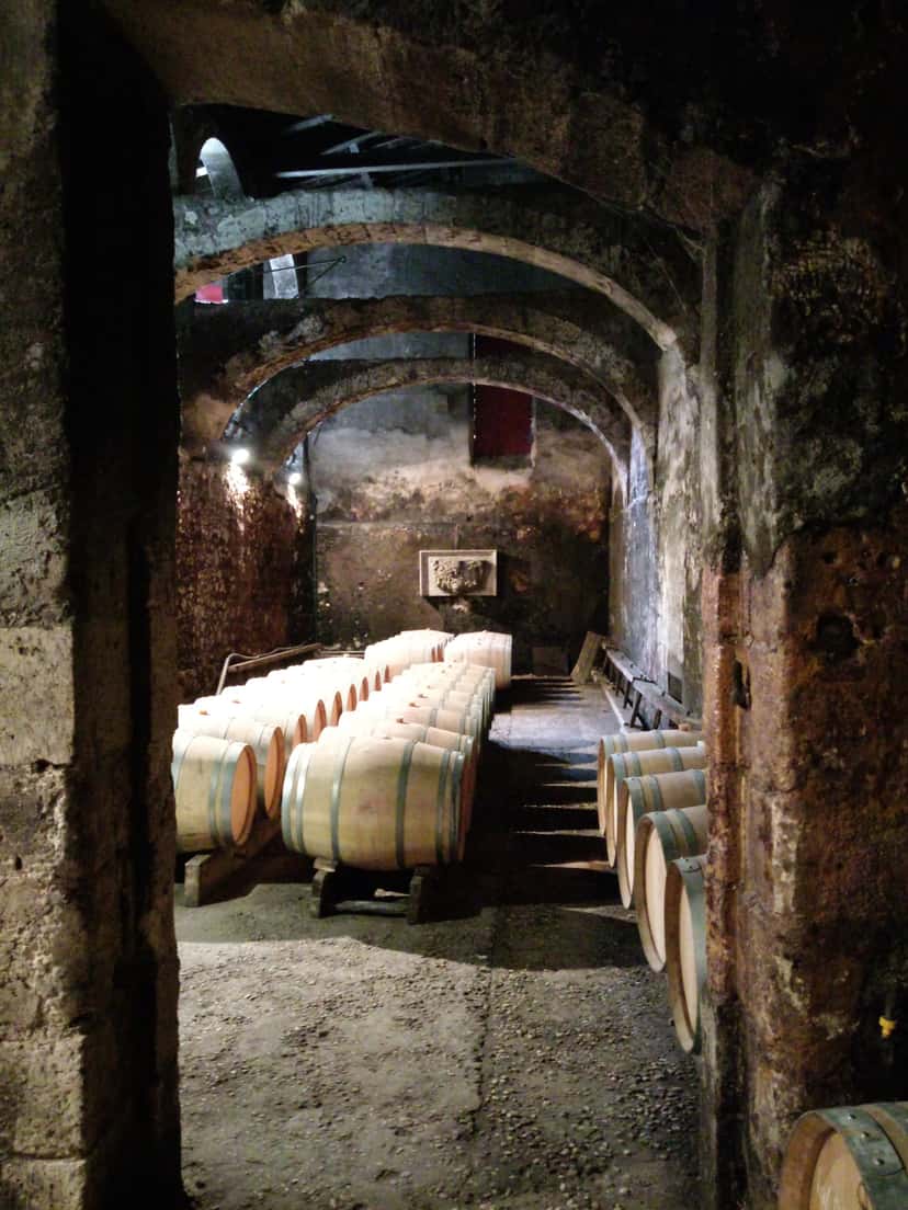 Vinprovning och klassisk rundtur på Château du Taillan