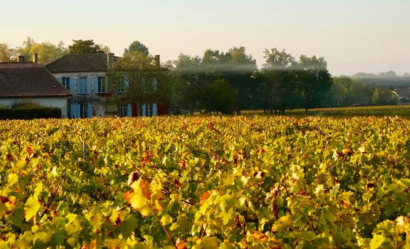 Château Anthonic