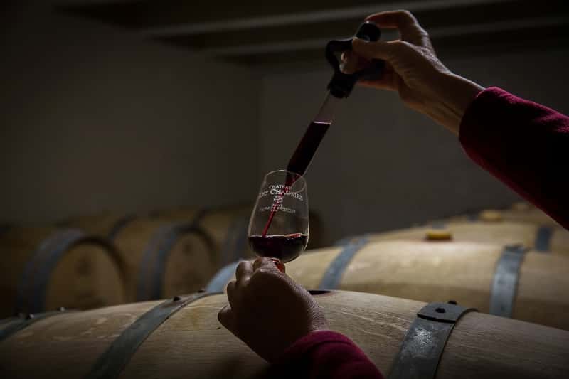 Cata de vinos y visita guiada al Château Les Chaumes