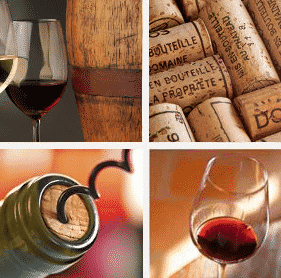 Rhône Valley Gems: A Domaine de Cassan Tasting