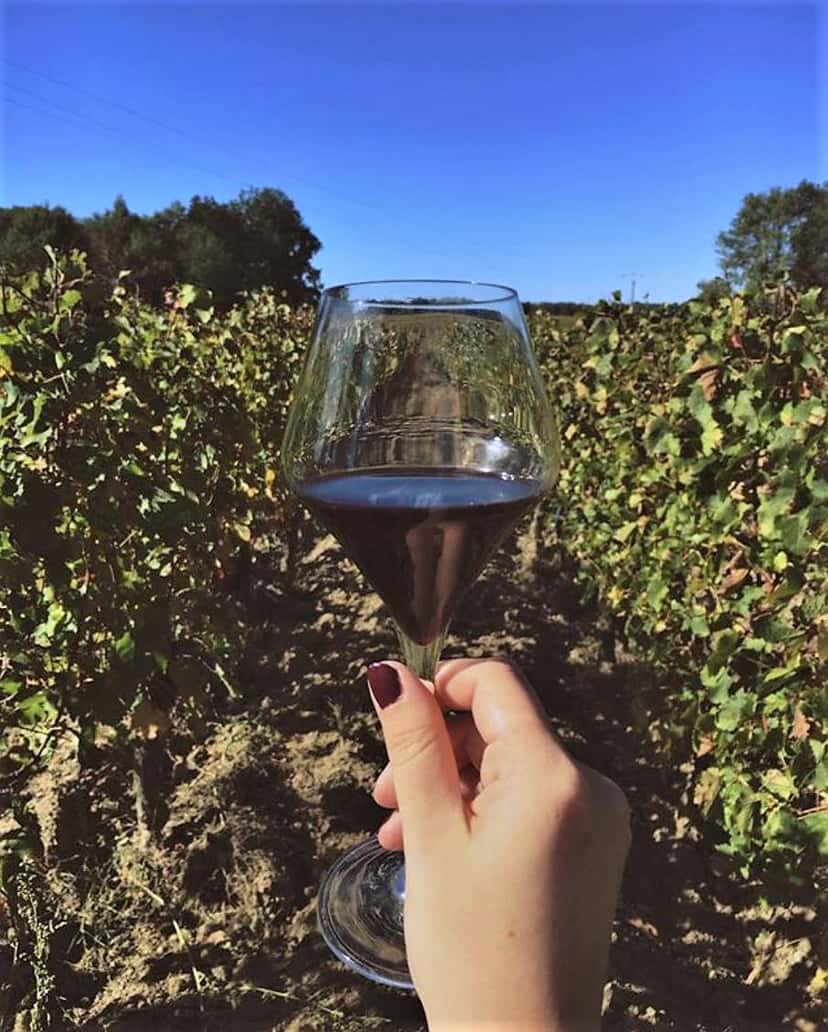 Degustazione di vini biologici e visita allo Château Vieux Mougnac