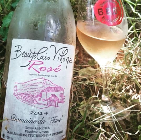 Beaujolais Vineyard Tour & Tasting at Domaine du Tane