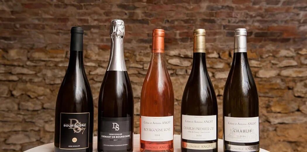 Vinprovning och rundtur på Vignoble Angst