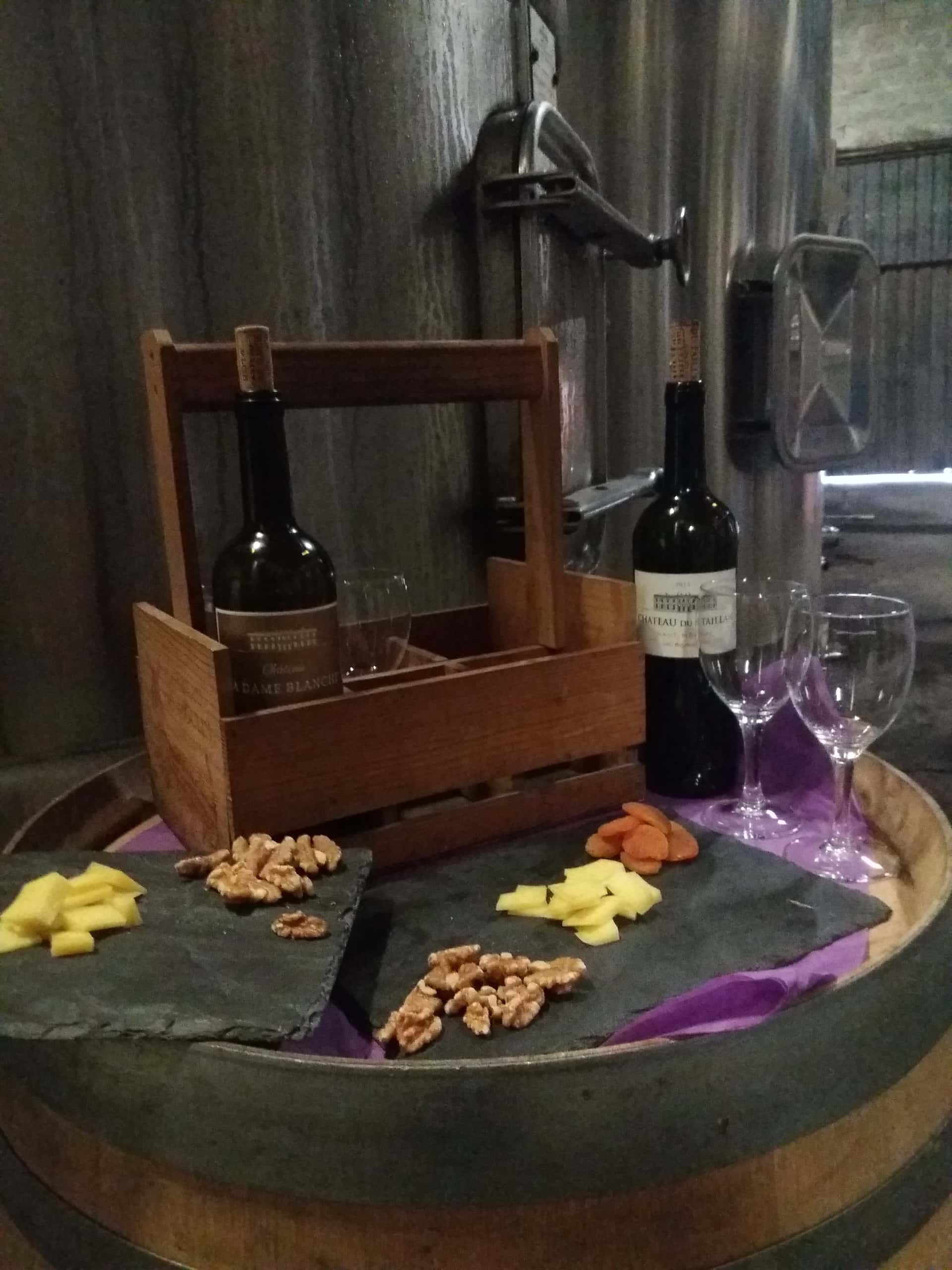 Weinprobe und „Schritt-für-Schritt“-Tour im Château du Taillan