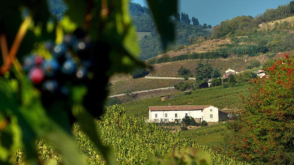 Domaine Joncy foto 2