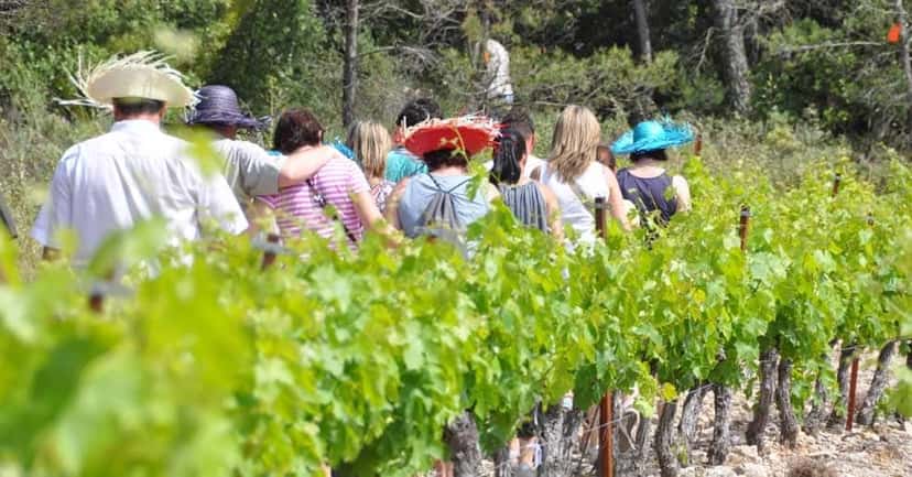 Balade Vigneronne – Weinprobe und Führung im Château de Fourques