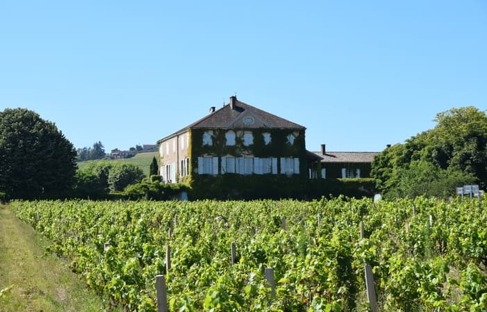 Chateau des Bachelards - estates