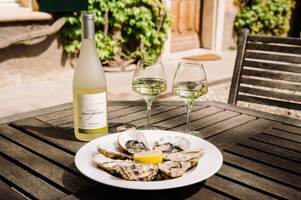 Cata de vinos y visita guiada en Domaine Saint-Hilaire