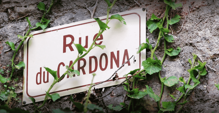 Wine Tasting Experience at Domaine du Cardona