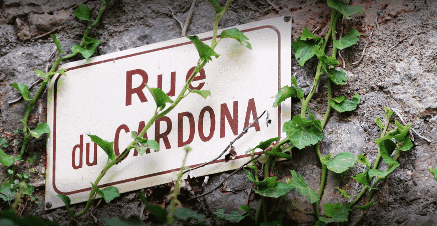 Wine Tasting Experience at Domaine du Cardona