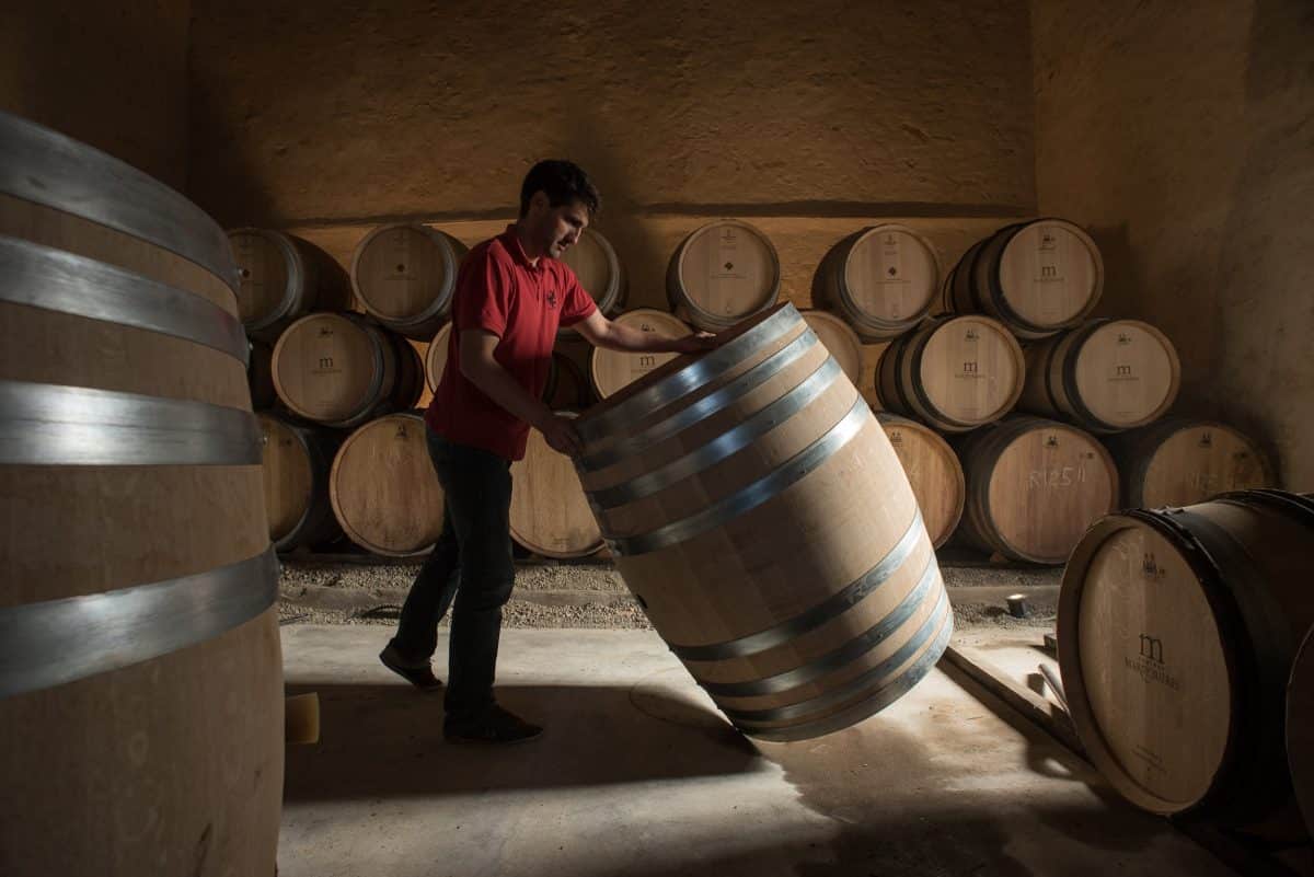 Degustazione di vini e visita al castello di Marmorières