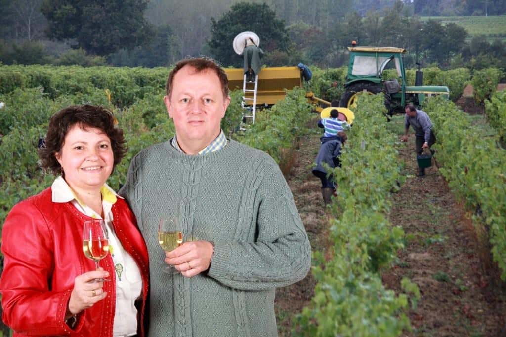 Wine Tasting Experience at Domaine du Pont De Livier