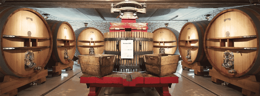 Champagne Gruet: Vineyard to Glass Discovery
