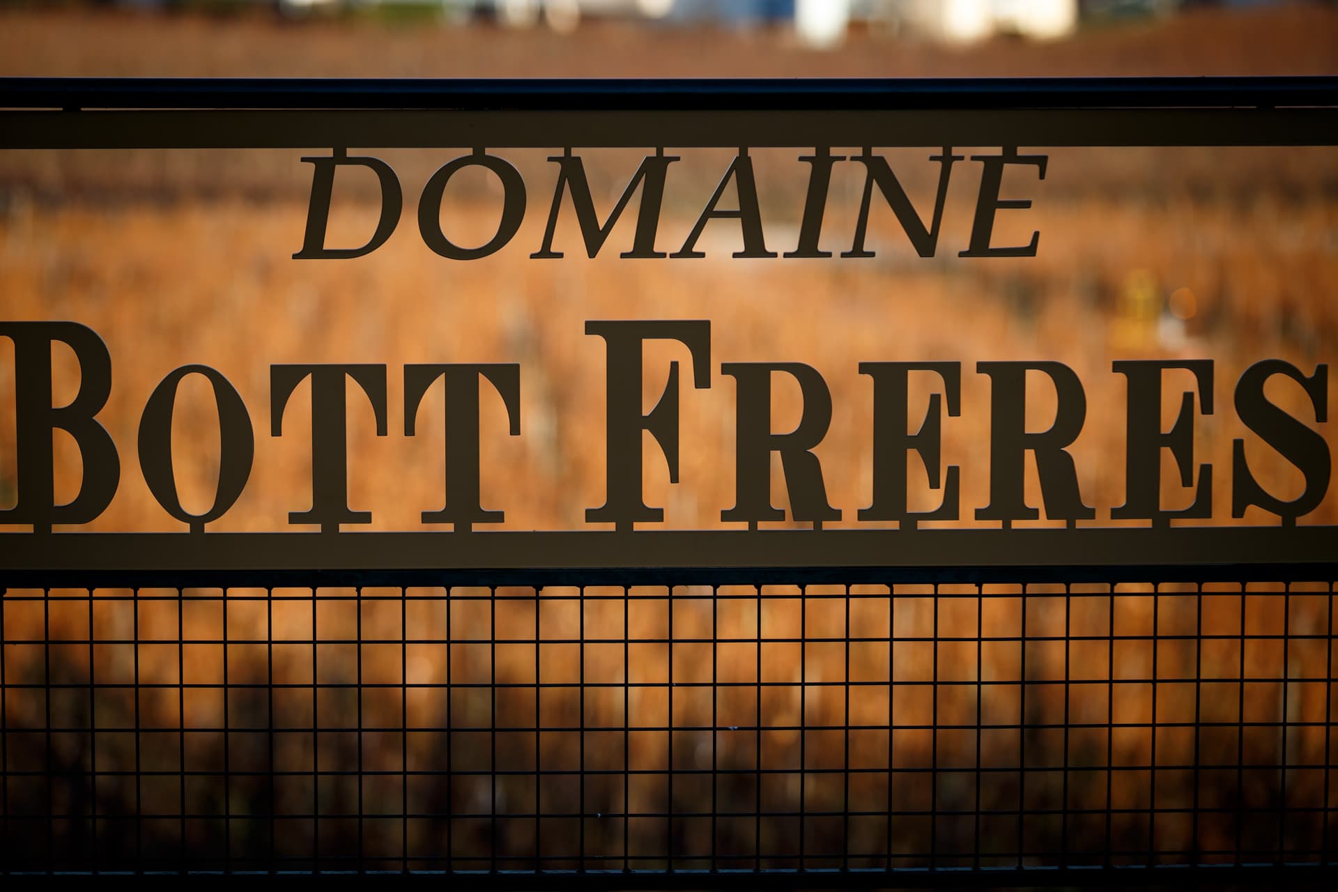 Domaine Bott Frères foto 4