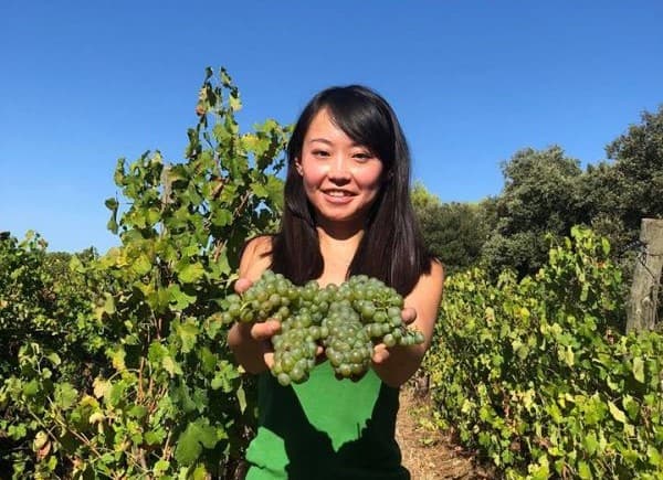 Degustação de vinhos e visita ao Château Haut-Blanville