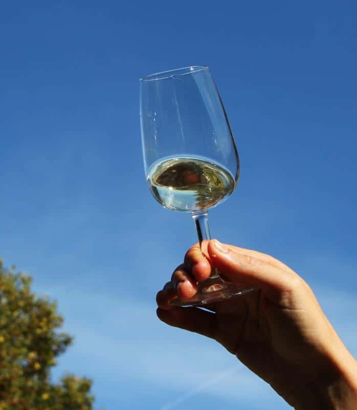 Degustazione di vini e visita a Vignoble Klur