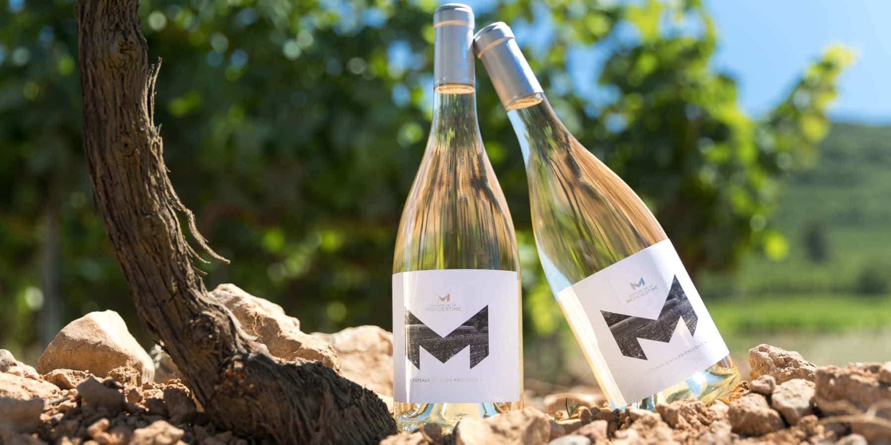 Degustação de vinhos e tour no Domaine de la Mongestine