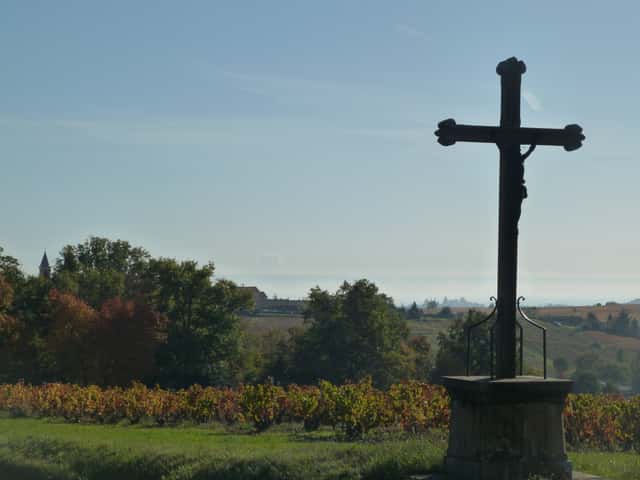 Domaine Les Capréoles