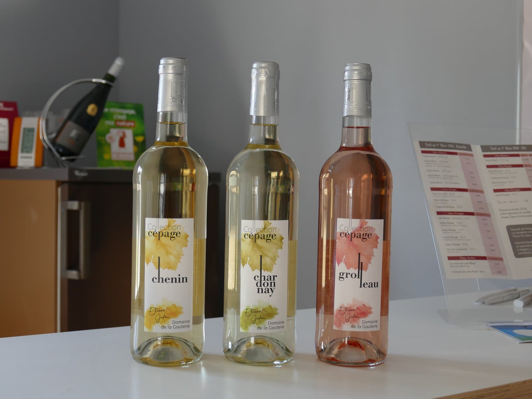 Weinprobe und Besichtigung im Domaine de la Gauterie