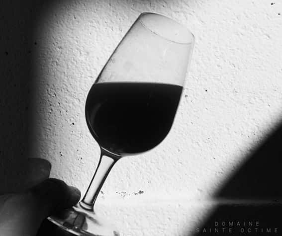 Weinprobe und Führung im Domaine Sainte Octime