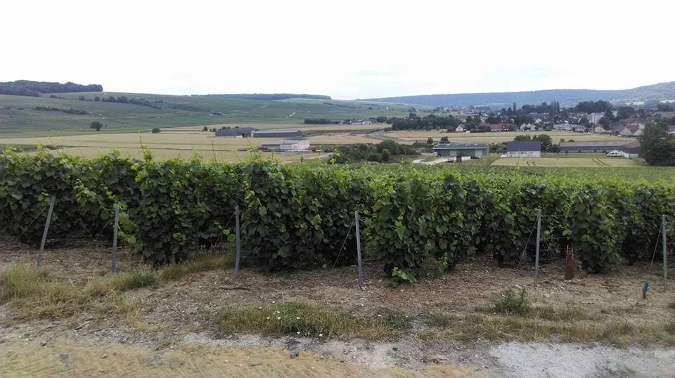 Champagne Baron-Fuenté: A Legacy of Quality