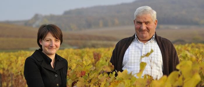 Champagne Elegance: Vineyard Tour & Tasting at Jean Pierre Secondé