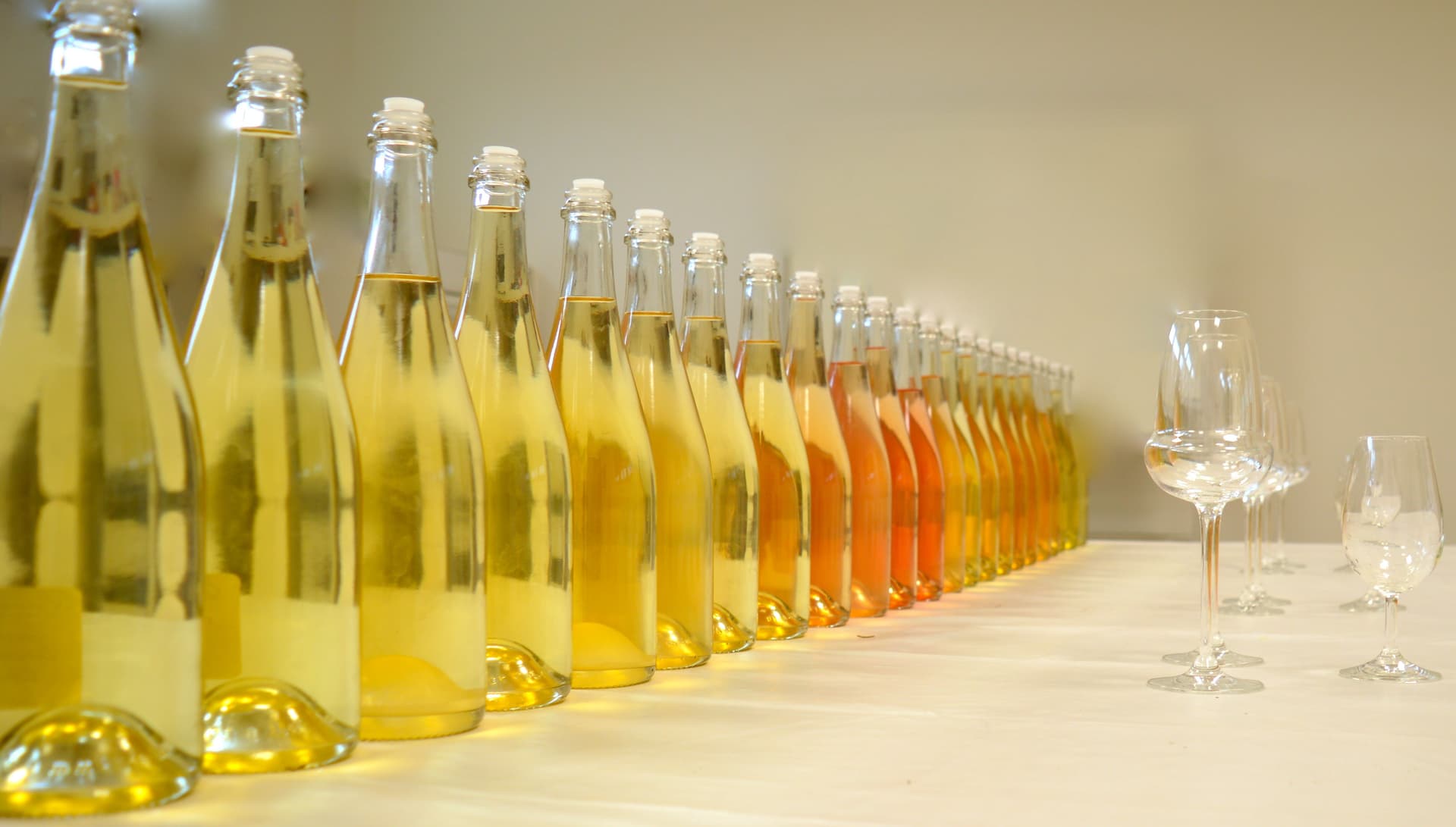 Champagnerverkostung und Tour bei Champagne Delong Marlene