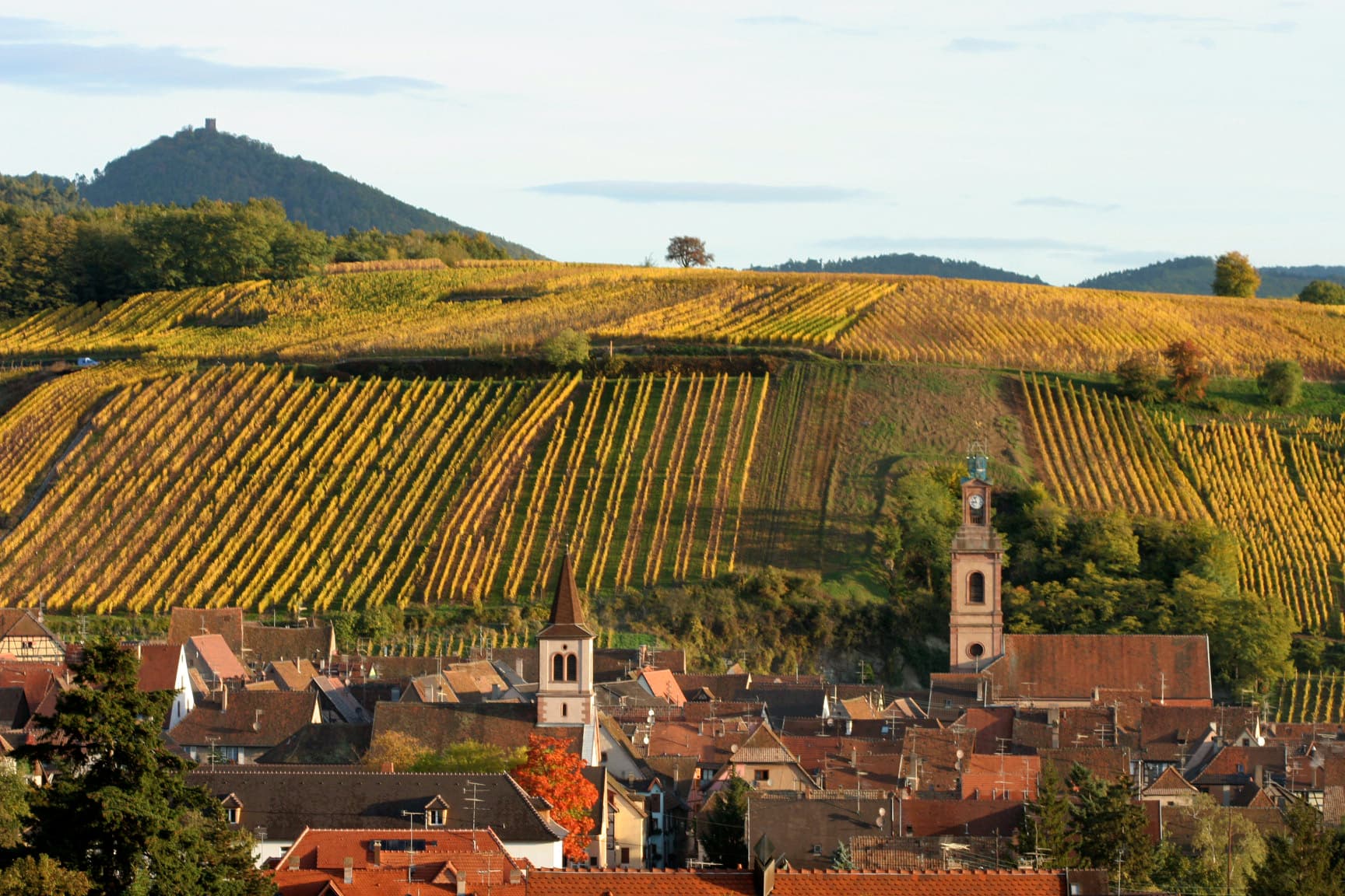 Domaine Bott-Geyl photo 1