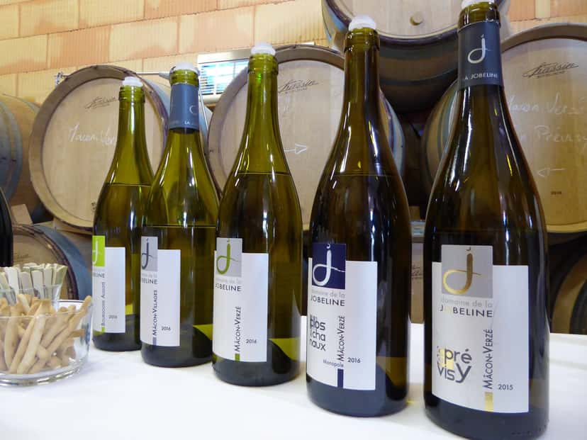 Domaine de la Jobeline