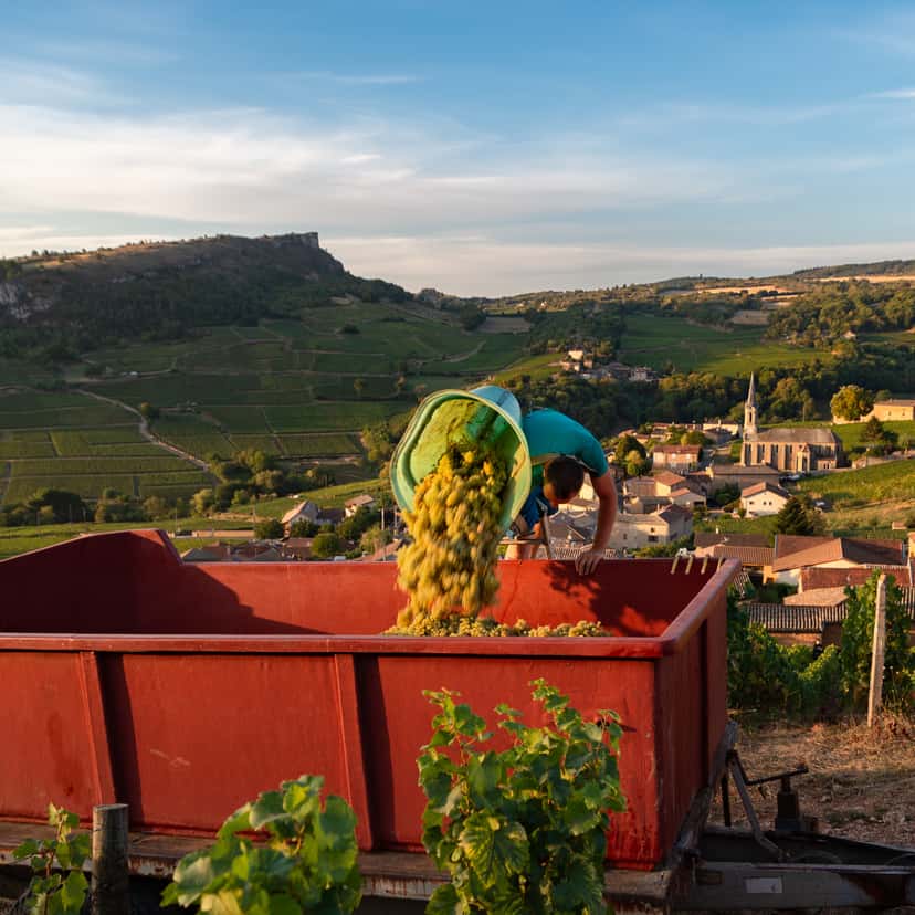 Domaine Gaillard