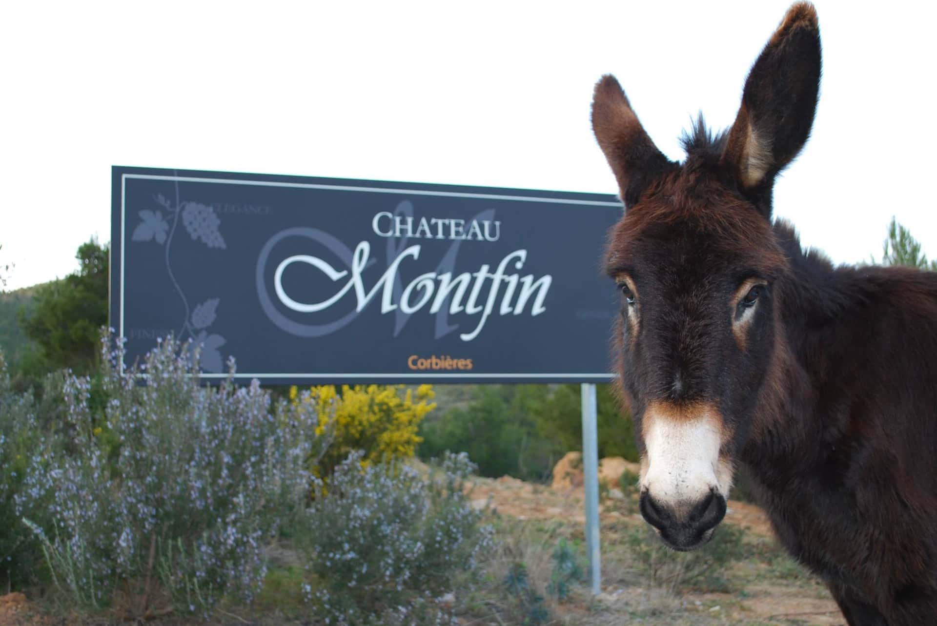 Vinprovning på Château Montfin
