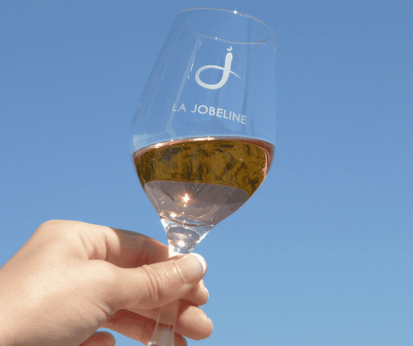 Degustazione di vini e visita al Domaine de la Jobeline