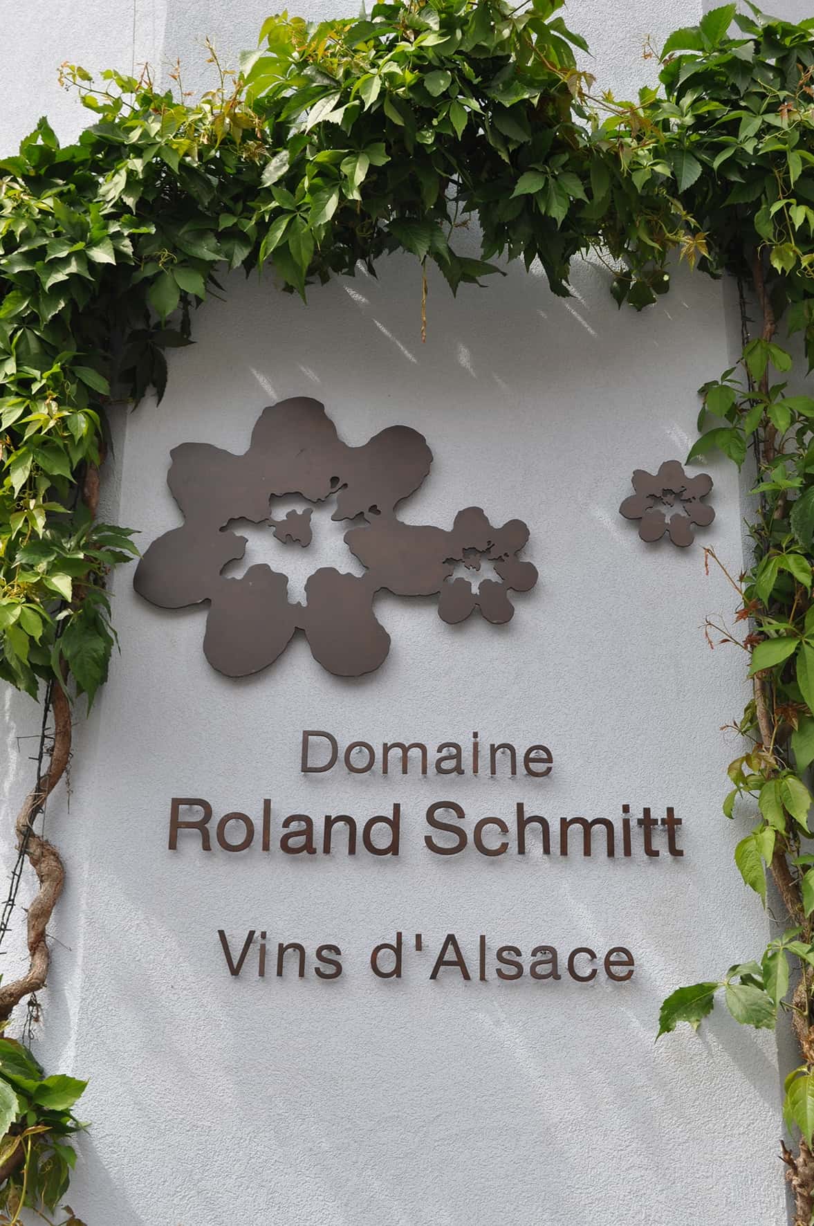 Vinprovning och rundtur på Domaine Roland Schmitt