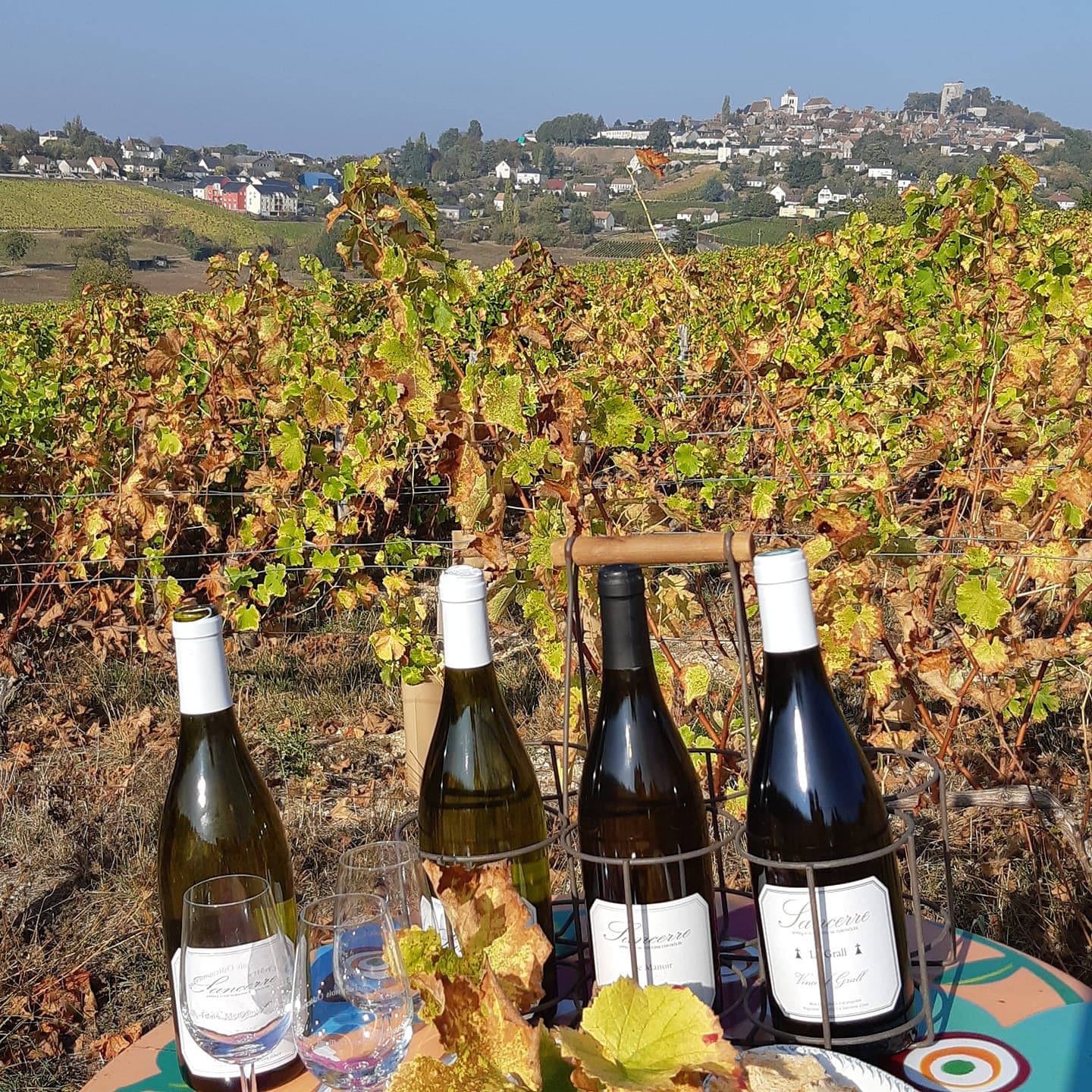 Degustação de vinhos e tour em Vincent Grall Vigneron