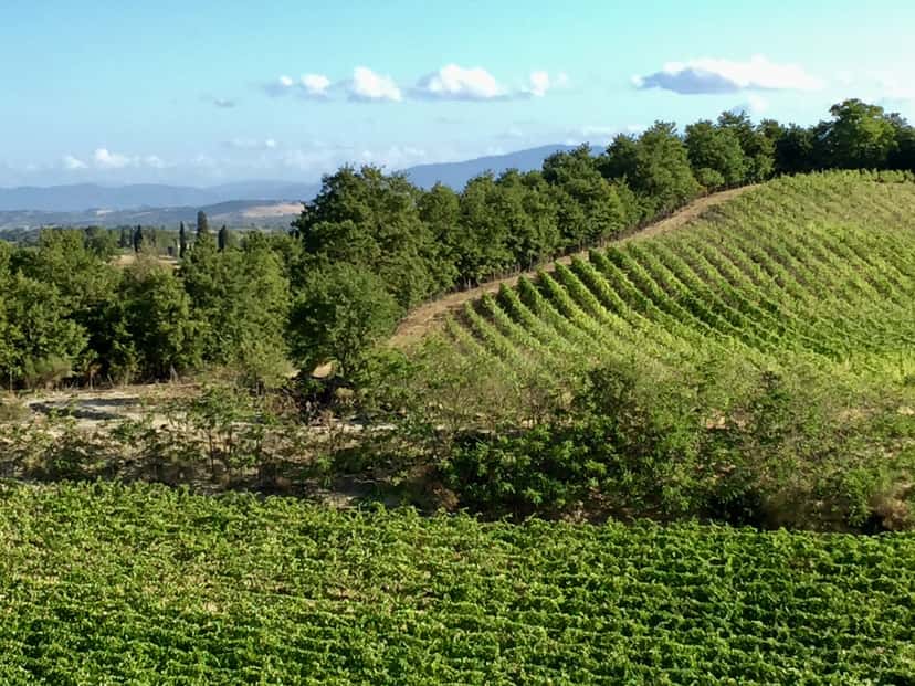 Azienda Agraria San Gregorio