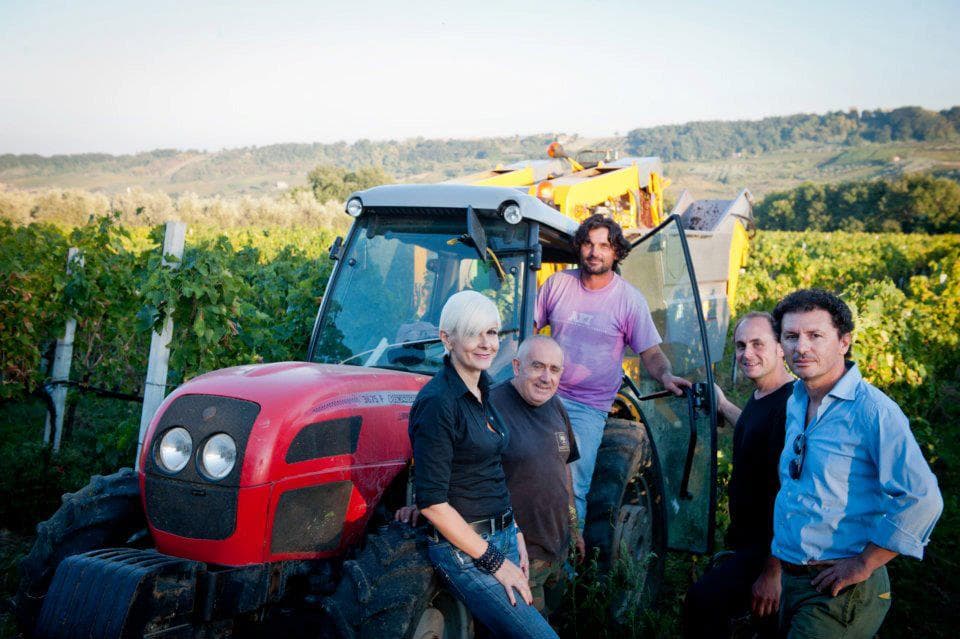 Degustação de vinhos e tour na Agriverde