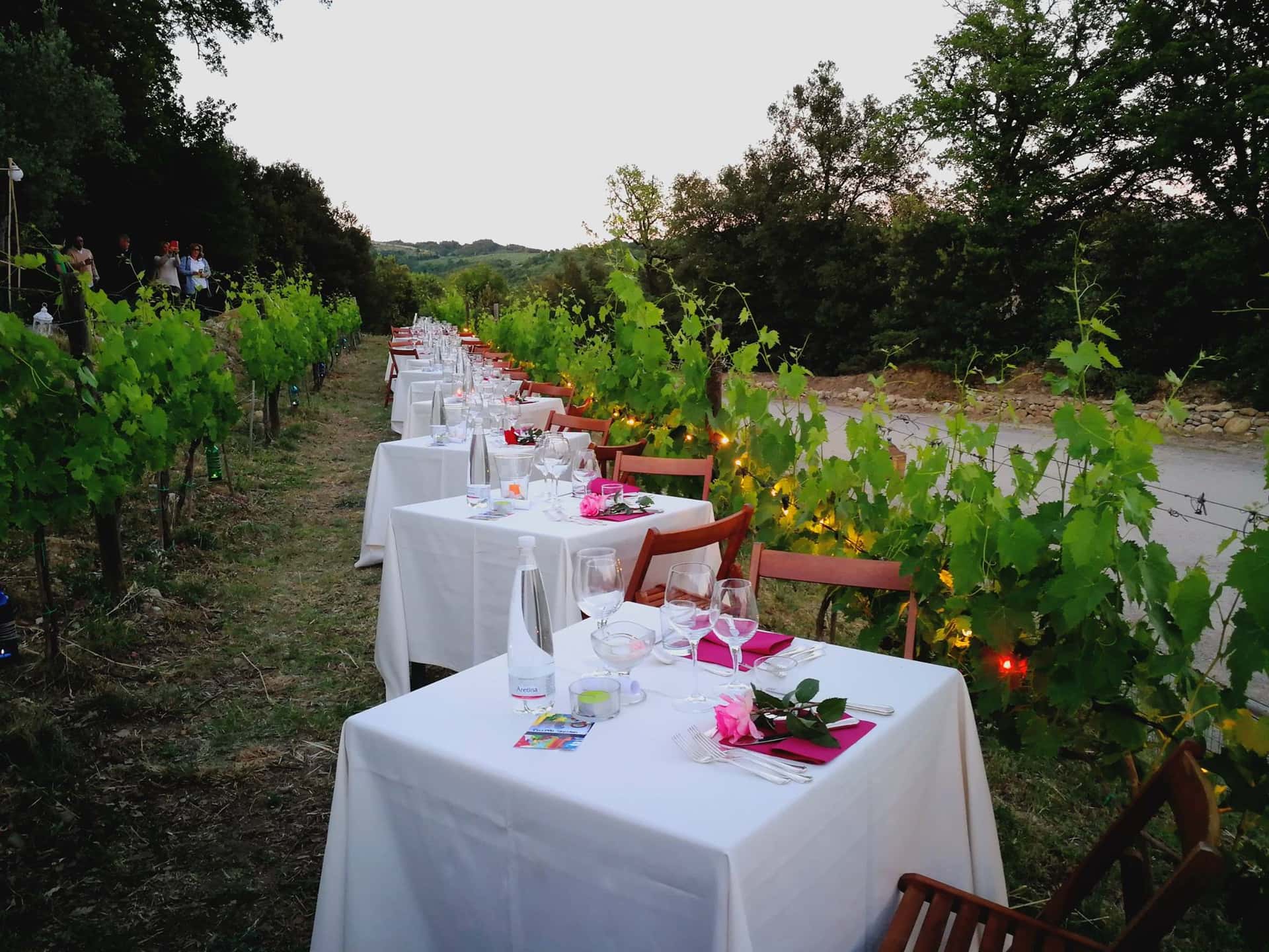 Degustação de vinhos e tour na Tenuta Vitalonga