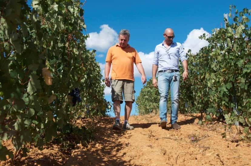 Degustação de vinhos e tour na Società Agricola La Bollina