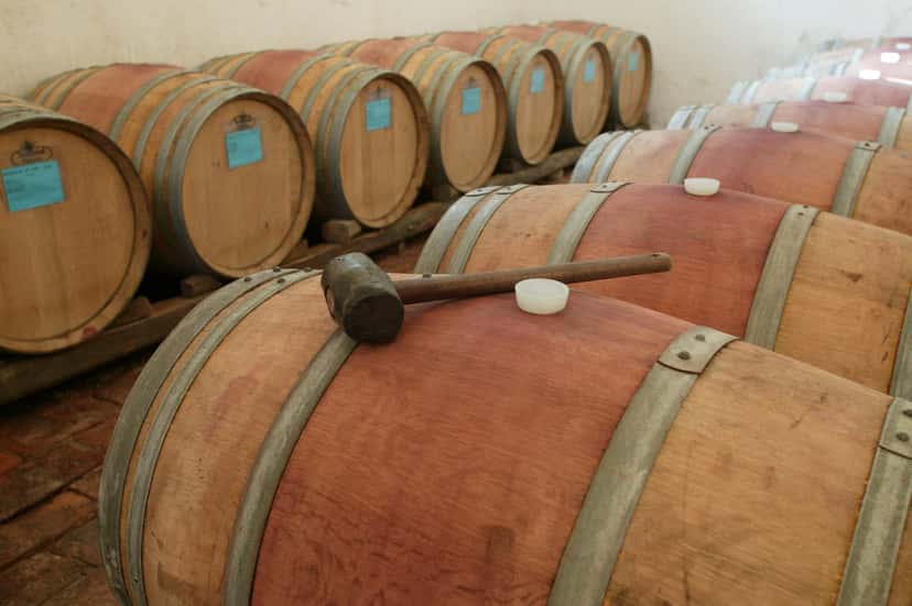 Fattoria Varramista SPA