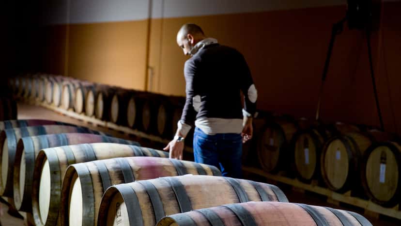 Abruzzo Wine & Vineyard Escape at Tenuta Masciangelo