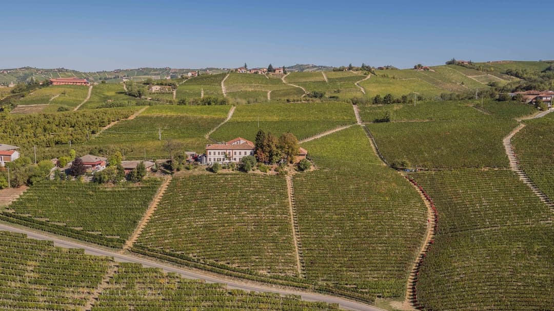 view-on-winery-massimo-rivetti