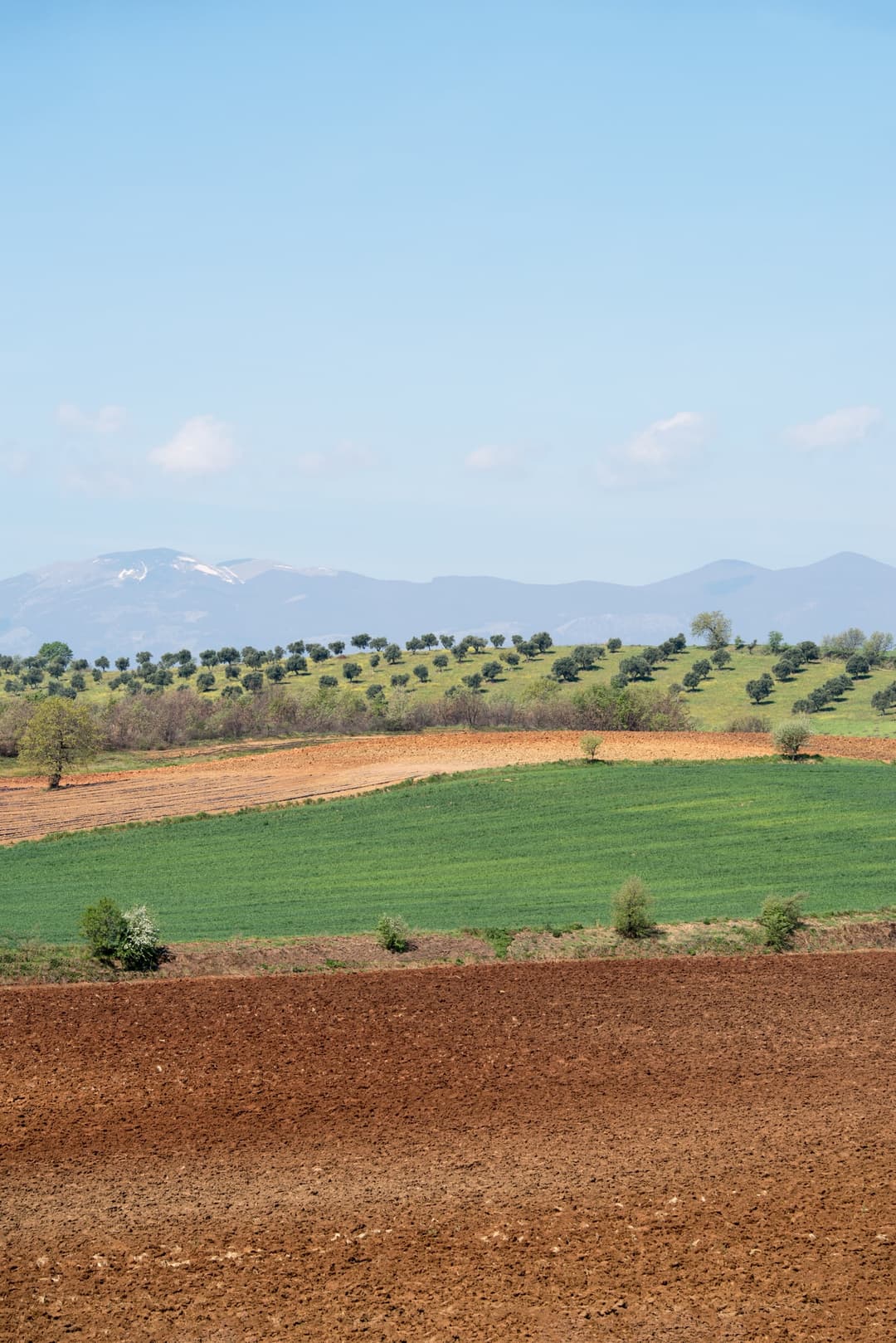 A vista sobre a paisagem da região vinícola da Calábria