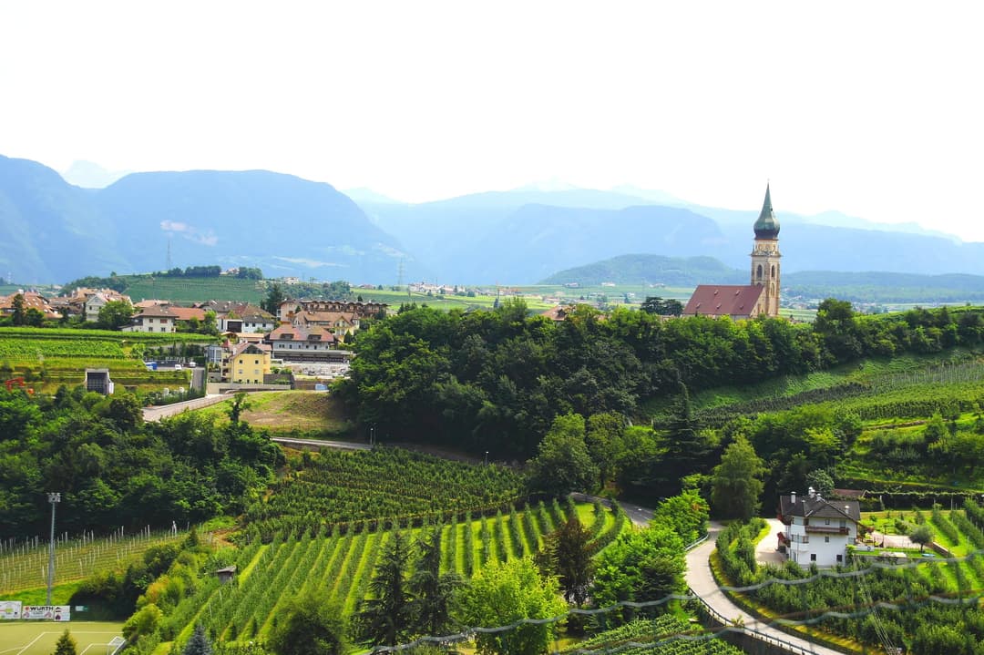Vineyards in Eppan, Trentino-Alto Adige wine region, Italy