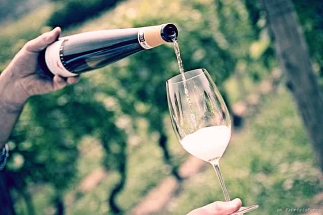 Weinprobe und Tour im Tenuta Il Falchetto