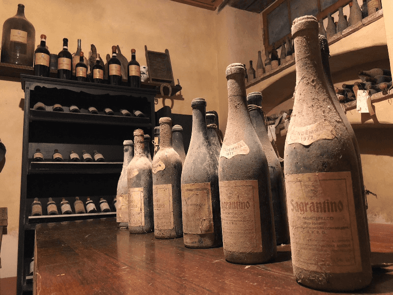 Umbria Wine & Olive Oil Tasting at Fongoli