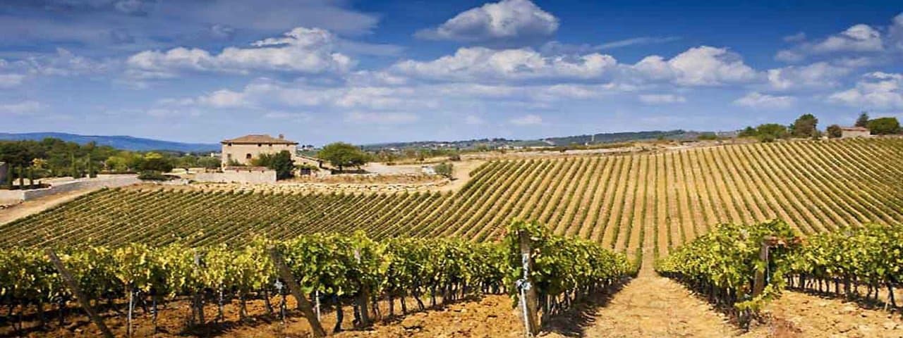 Azienda Agricola Casale Winery