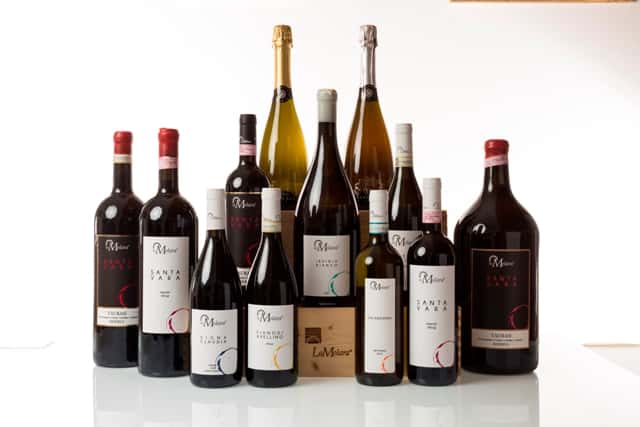 Campania Wine Escape: La Molara Tasting & Views