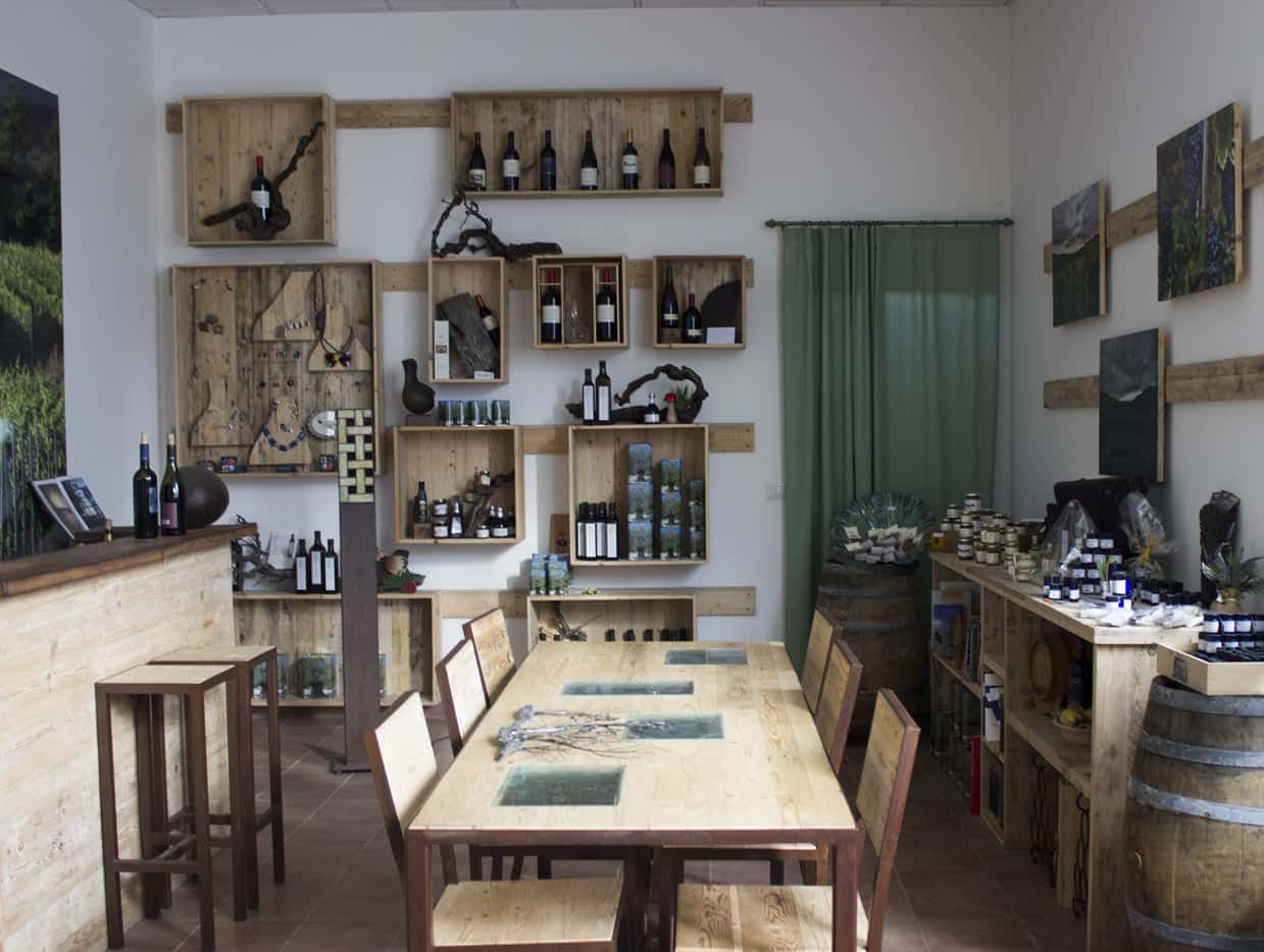Degustazione di vini e tour presso I Girasoli Di Sant'andrea