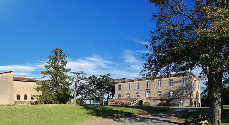 Degustação de vinhos Sense em 3 fases no Château de Tauziès