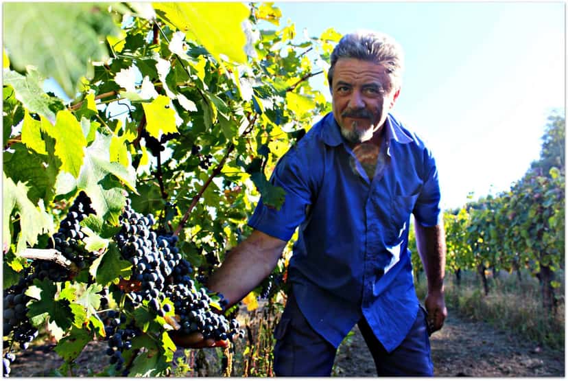 Wine Tasting and Tour at Tenuta Leonardo